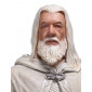 Lord of the Rings socha 1/6 Gandalf the White (Classic Series) 37 cm obrázok 3